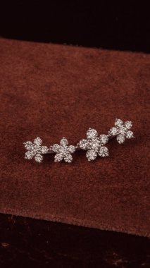 Kadınlar için Zarif Elmas ve Altın Mücevher