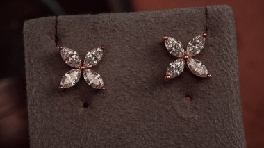 Altın ve Elmaslı Parlak Gemstone Mücevherleri