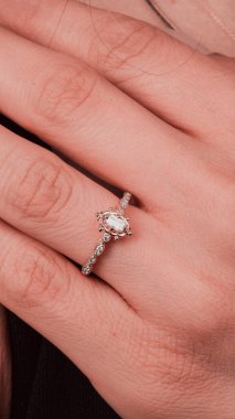 Parlak Elmas Kolyeler ve Altın Mücevherler