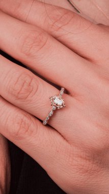 Parlak Elmas Kolyeler ve Altın Mücevherler