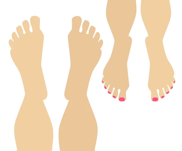 Pieds masculins et féminins côte à côte sur fond blanc, dessus vi — Image vectorielle