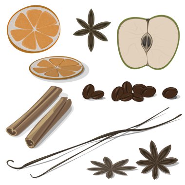 Baharat beyaz zemin üzerine izole set vektör