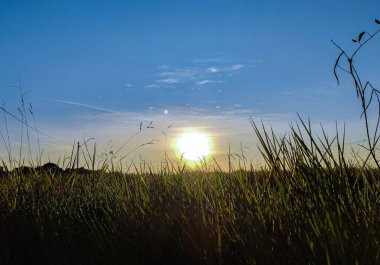 Ufukta güzel bir gün doğumu parlıyor ve gökyüzünü bitkilerle boyuyor. Seyahat, özgürlük, doğa, macera ve ilham verici manzaralar için ideal.