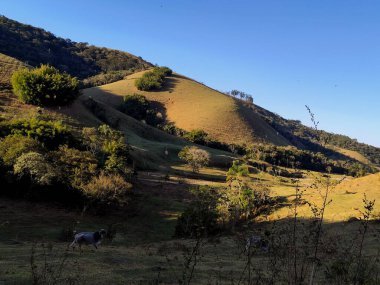 Yeşil tarlaları, ağaçları ve doğal ışık altında sakin bir ufku olan güzel bir kırsal alan. Doğa, kırsal yaşam, barış ve çevresel güzellik temaları için mükemmel.