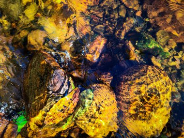 Sersemletici bir doğal nehir, kristal berrak su, yumuşak taşların üzerinden akıyor, yemyeşil ile çevrili. Saflık, rahatlama, doğa ve ekolojik seyahat kavramları için mükemmel..