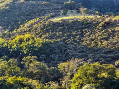 Yeşil tarlaları, ağaçları ve doğal ışık altında sakin bir ufku olan güzel bir kırsal alan. Doğa, kırsal yaşam, barış ve çevresel güzellik temaları için mükemmel.