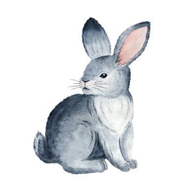 Oturan gri tavşanın suluboya çizimi, çocuk kitapları, bahar, paskalya temaları, tarım projeleri, eğitim malzemeleri, tebrik kartları ve çocuk dekorasyonu için mükemmel..