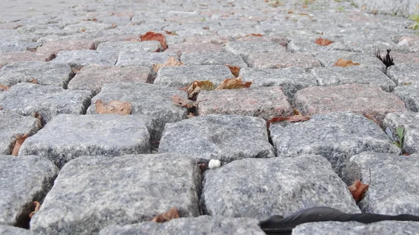 Granite cobblestoned pavement background — Stock Photo, Image