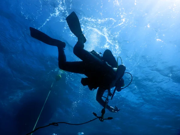 Buceo en el agua cristalina del Mediterráneo — Foto de Stock