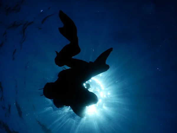 Buceo en el agua cristalina del Mediterráneo — Foto de Stock