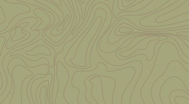 Soyut topoğrafik haritada haki yeşil arkaplan ve kontur çizgileri doğal basitliğe sahip yükseklik veya coğrafi manzaraları gösteren organik şekiller sergiliyor