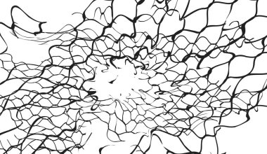 Organik şekiller ve birbirine bağlı çizgilerden oluşan karmaşık siyah bir ağ, modern grafik tasarım ve kavramsal tasarım için ideal, katıksız beyaz bir arkaplan karşısında dinamik ve kaotik bir şablon yaratır.