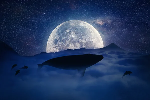 Flying night whale — Stock Photo, Image