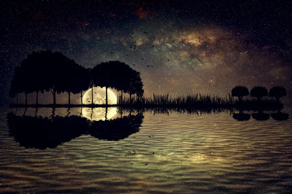 Chitara insula lumina lunii — Fotografie, imagine de stoc