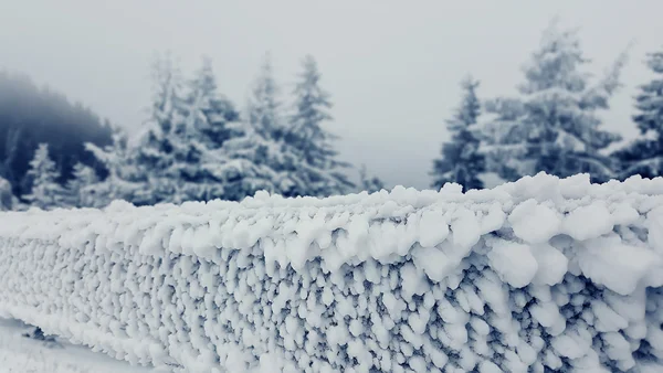 Hek white frost — Stockfoto