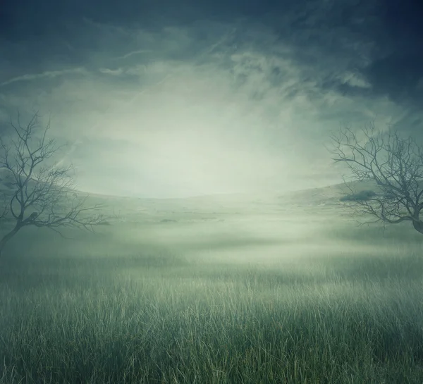 Thrill landscape fog — Stock Photo, Image