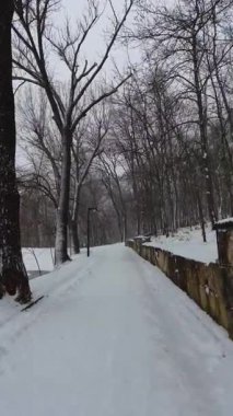 Karlı bir kış parkında yürümek gibi dikey çekim. Sessiz ve huzurlu. Gökten yağan kar taneleri. Güzel manzara, soğuk mevsim, meydanda kar yağışı..