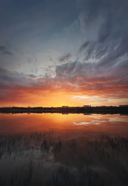 湖の表面に反映魅力的な夕日 牧歌的な風景 垂直方向の背景 静寂で静かな夜の風景 池の葦の植生 水平線の街 — ストック写真