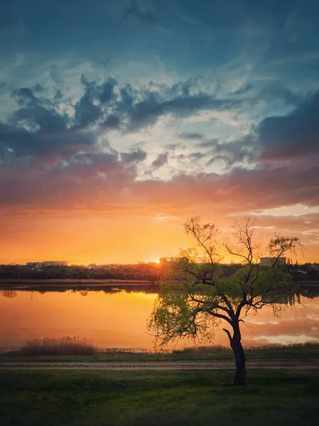 Paisaje Rural Idílico Puesta Sol Primavera Que Refleja Sobre Lago — Foto de Stock