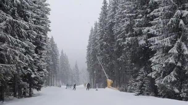 Mann Beim Skifahren Auf Dem Schneebedeckten Hang Des Skigebiets Bukovel — Stockvideo