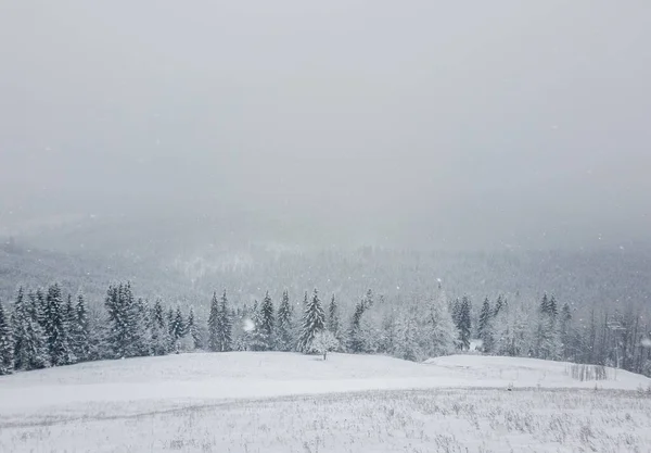 Maravillosa Escena Invierno Con Nieve Cayendo Bukovel Estación Esquí Los —  Fotos de Stock