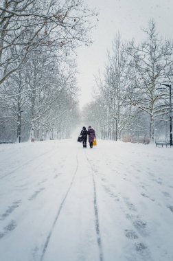 İki orta yaşlı kadın, kış parkında kar yağışı boyunca yürür. Sokakta harika bir kar manzarası var. Soğuk mevsim güzelliği. Şehir meydanında kar fırtınası