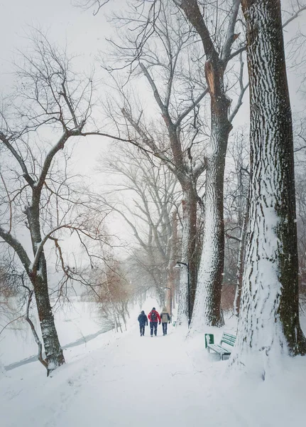 Trzy Osoby Spacerują Alejce Zimowego Parku Zimny Śnieżny Zimowy Poranek — Zdjęcie stockowe