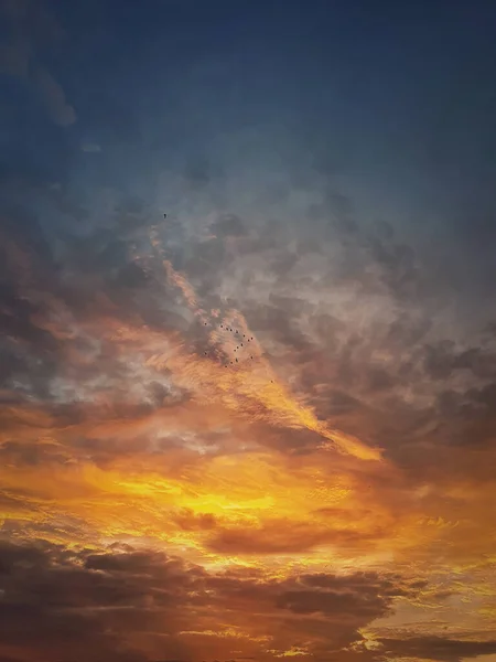 Осеннее Небо Заката Вертикальный Фон Разноцветные Облака Стаи Перелетных Птиц — стоковое фото