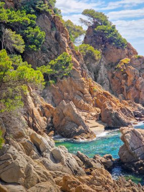 Yeşil çam ağaçları ve çalılarla benekli yüksek uçurumlarla kaplı engebeli kıyı şeridi ve gizli koydaki canlı turkuaz su ile küçük dalgalar tenha sahili nazikçe yıkıyor.