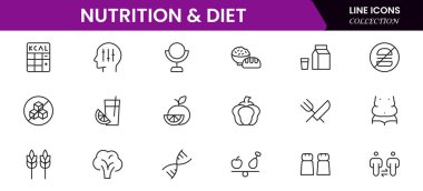 Beslenme ve Diyet, Sağlıklı Yemek ve Detox Diyet Vektörü Simgeleri. Metabolizma, Caunt Calories, Palm yağı içermeyen, trans yağ, probiyotik gibi ikonlar içerir. Basit Taslak simgeleri koleksiyonu.