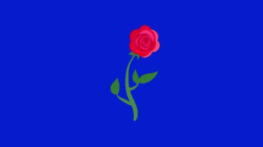 Renk tuşundaki çiçeğin canlandırması