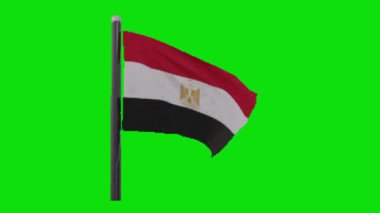 Yeşil arkaplanda Mısır bayrağı animasyonu