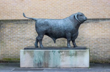 Oxford, Birleşik Krallık - 22 Aralık 2025: Said İşletme Okuluna yakın bir Öküz heykeli. Heykeltıraş Olivia Musgrave.