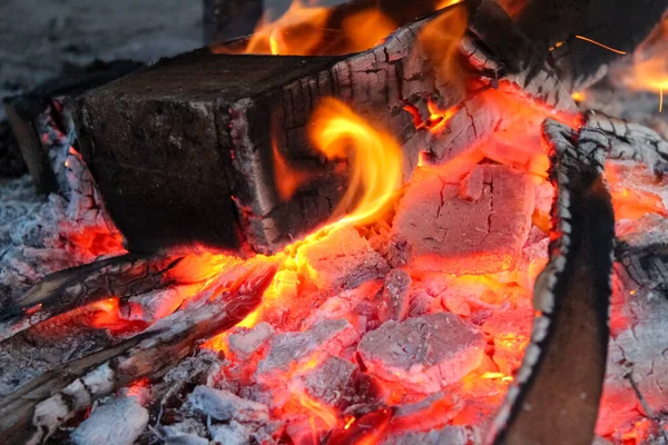 Kavurucu közler ve aktif bir ateşte odun yakmak. Alevler odun parçalarının etrafında kıvrılarak yüksek kontrastlı bir sahne oluşturuyor..
