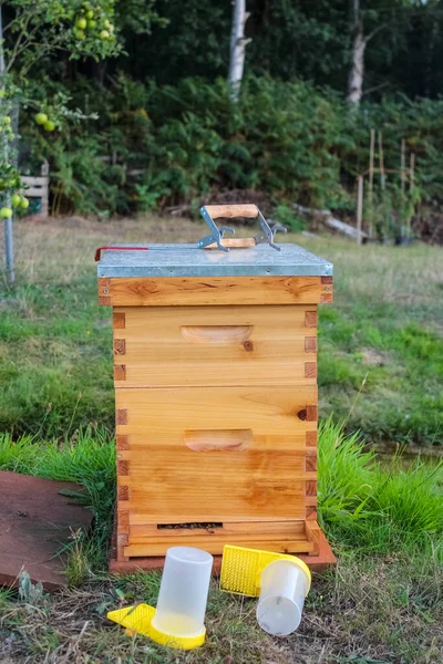 İki süper siki olan ahşap bir arı kovanı küçük bir derenin yakınındaki çimenli bir avluda oturur. Sarı yemlikler önde yere konur..