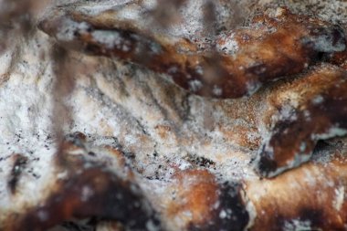 Derin desenli gri ağaç kabuğundaki katmanlı raflarda yetişen mantarların yakın çekimi. Mantarlar turuncu, kahverengi ve siyah tonlara sahiptir..