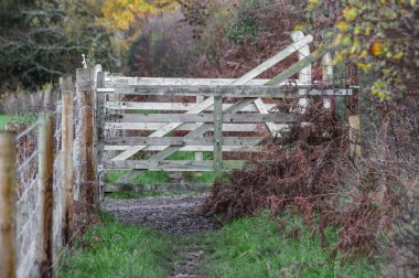 İngiliz kırsalında beyaz, ahşap, beş parmaklıklı bir kapıya uzanan dar bir toprak yol. Yeşil çimenler ve sonbahar ağaçlarıyla çevrili bir çit patika boyunca uzanıyor..
