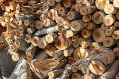 Yoğun, üst üste yığılmış, yuvarlak ahşap kütükler. Işık kabuğunun çeşitli dokuları ve dairesel tahıl desenleri, sade bir doğal kereste mozaiği oluşturur ve sıcak güneş ışığıyla son bulur..