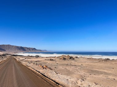 Şili 'deki Ulusal Park Pan de Azcar' dan geçen güzel manzara yolu beyaz kumsalı geçiyor. Bu seyahat merkezinde eşsiz çöl bitkileri, doğa ve dramatik uçurumlar sergileniyor..
