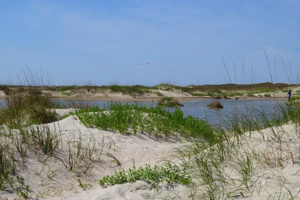 Sanddüne mit Gräsern am Strand — Stockfoto