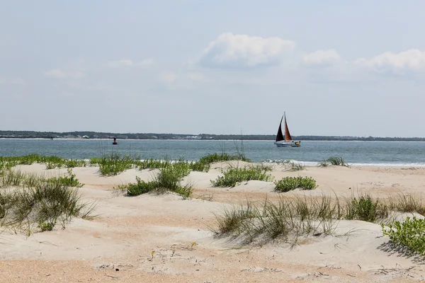 Sanddünen mit Gräsern am Strand — Stockfoto