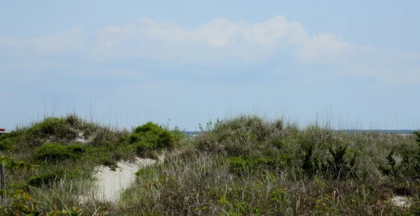 Путь через травы через песчаные дюны — стоковое фото