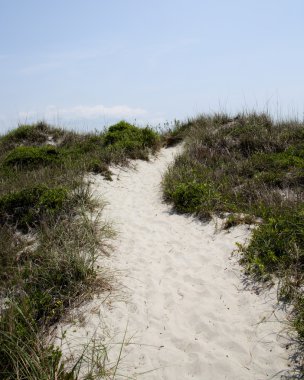 Kum tepeleri üzerinde bitki örtüsü ile yolu