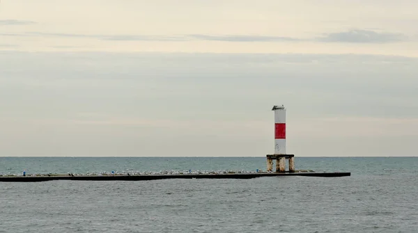 ミシガン州ホランドの曇りの日に灯台があり カモメが桟橋に座っています — ストック写真
