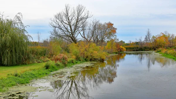 秋の小川の端にあるカラフルな茂みや木 — ストック写真