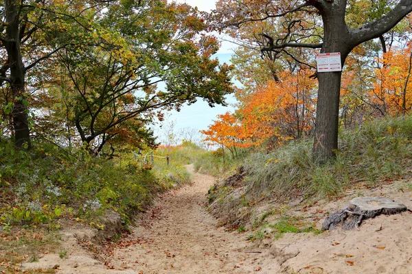 Carvalhos Cores Outono Longo Caminho Arenoso Para Lago Michigan — Fotografia de Stock