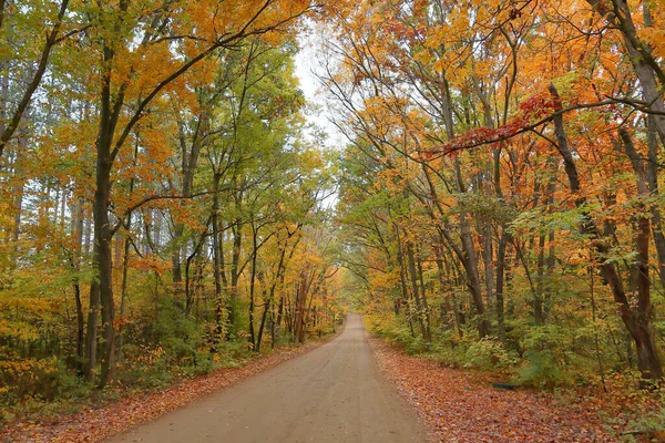 Batı Michigan 'da sonbahar yapraklı ağaç kaplı toprak yol.