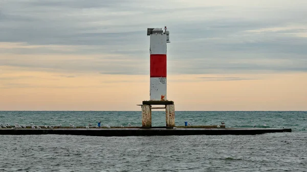 Farol Quebra Mar Com Gaivotas Holanda Michigan — Fotografia de Stock