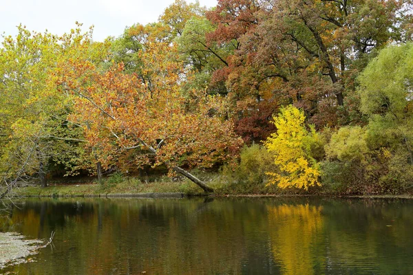 Riacho Movimento Lento Com Árvores Penduradas Cores Outono — Fotografia de Stock