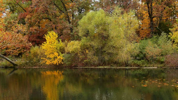 Riacho Movimento Lento Com Árvores Penduradas Cores Verde Vermelho Amarelas — Fotografia de Stock